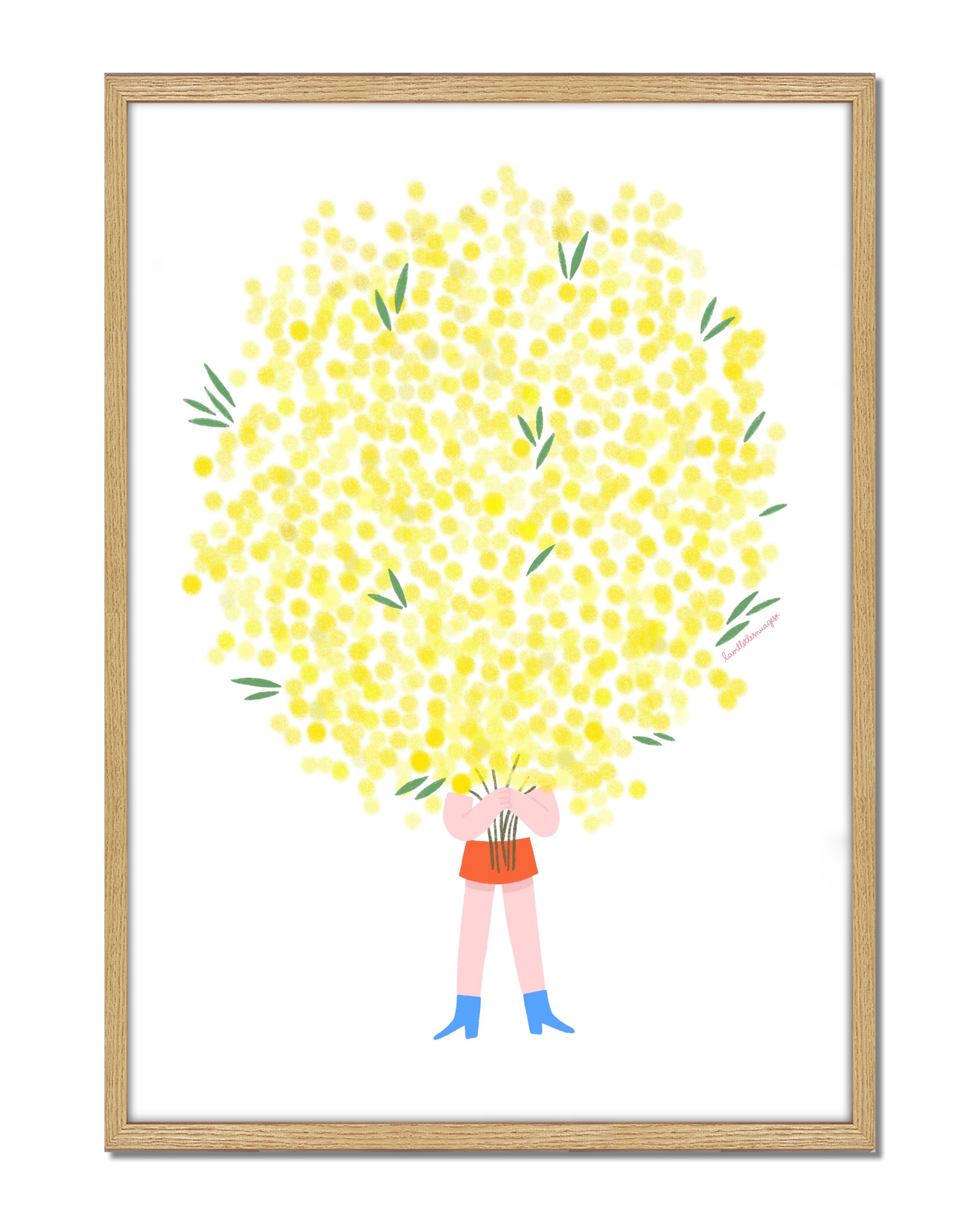 Le mimosa