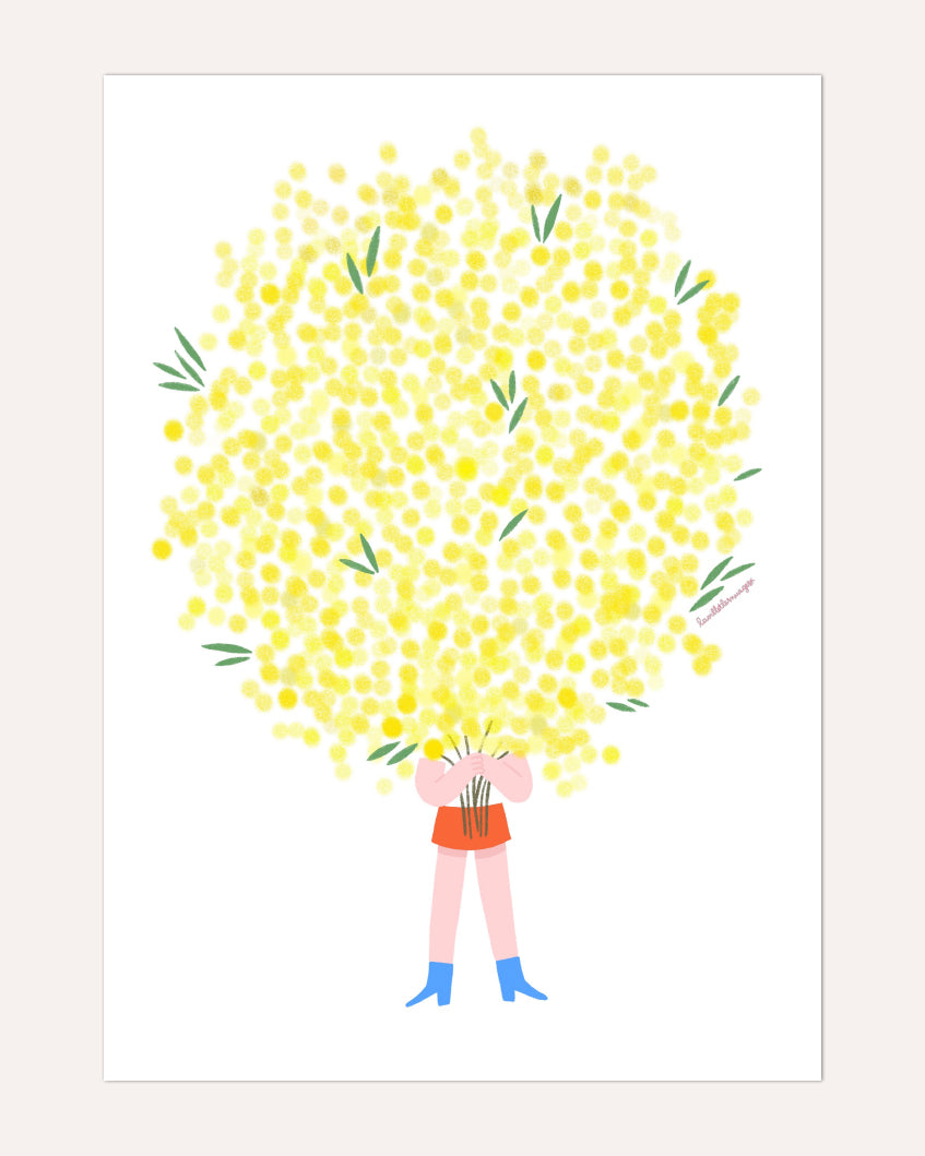 Le mimosa