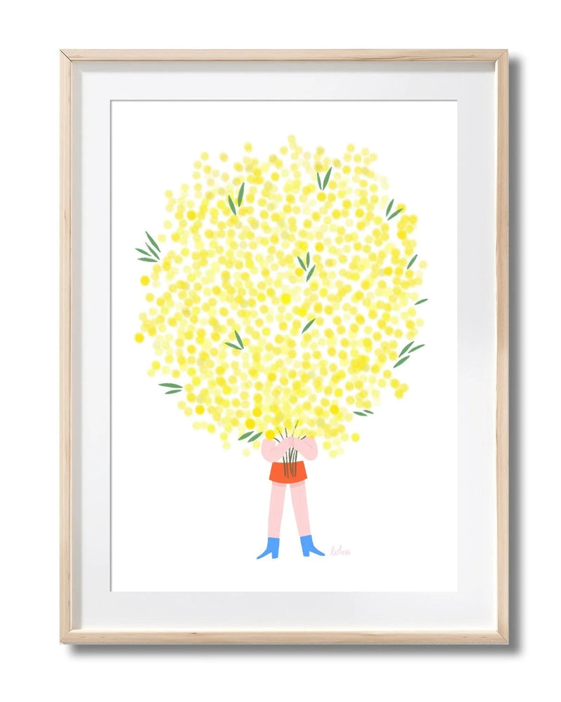 Le mimosa